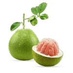 Fresh pomelo