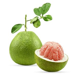 Fresh pomelo
