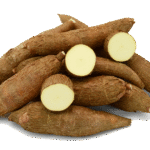 Yellow-flesh cassava