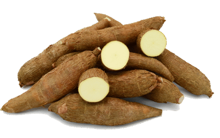 Yellow-flesh cassava
