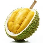 Fresh Durian